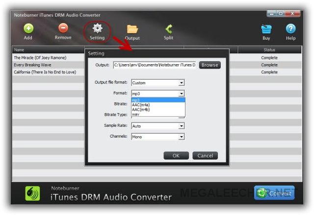 noteburner itunes drm audio converter 3 serial key