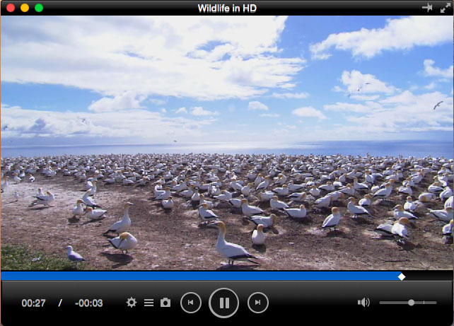 total video player mac slow motion total video player mac slow motion