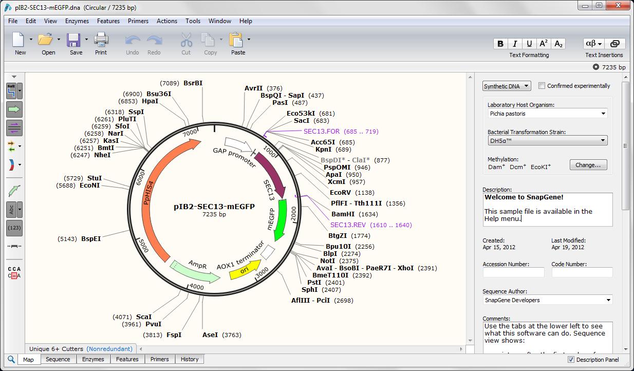 snapgene viewer download macbook snapgene viewer download macbook